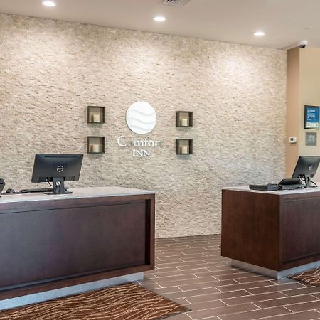 Comfort Inn Edwardsville - St Louis Esterno foto