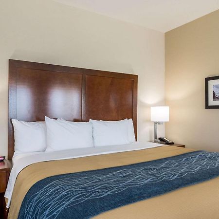 Comfort Inn Edwardsville - St Louis Esterno foto
